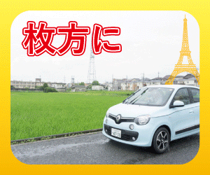 renault_banner(170728)(300×250) (1)
