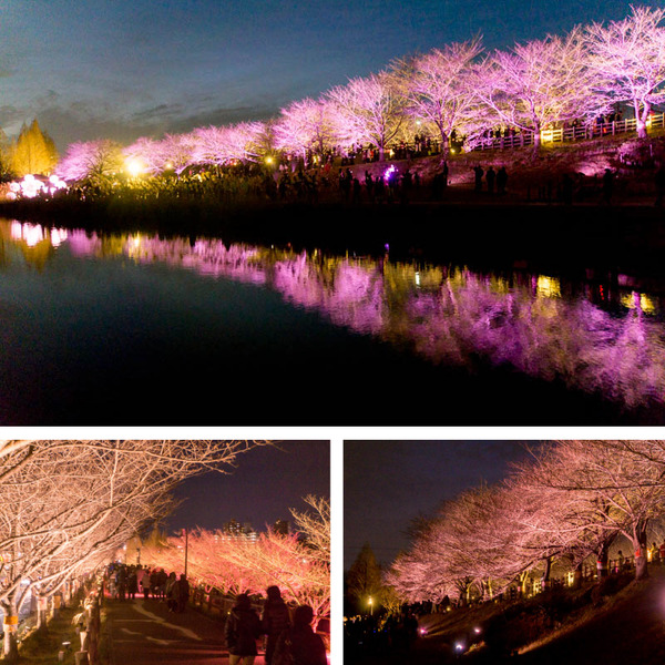 打上川治水緑地