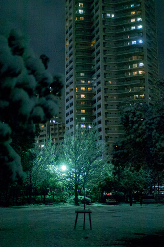 雪の正月-21