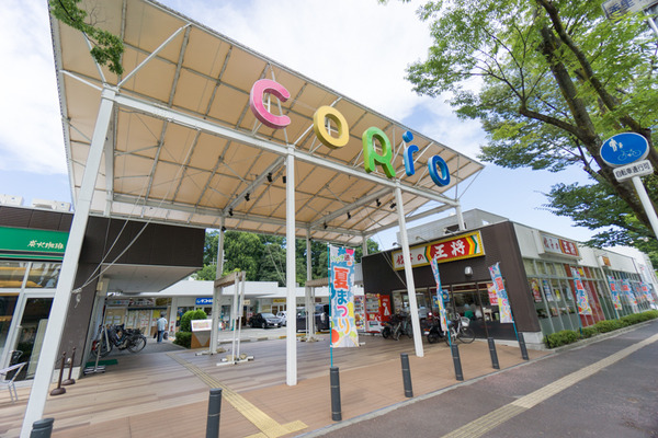 UR香里ケ丘団地周辺環境-5