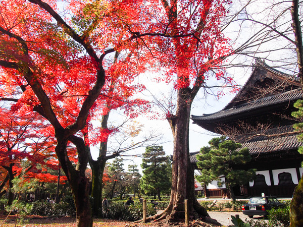 建仁寺-4