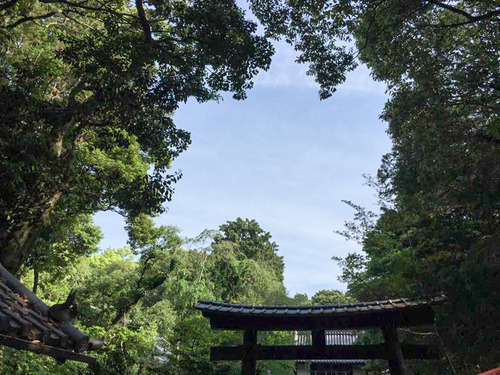 9月asaiku-2