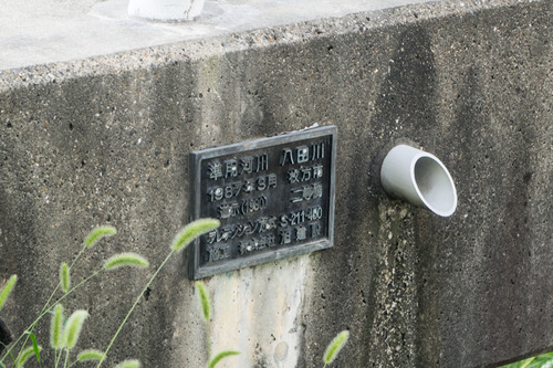 責谷川-14081924