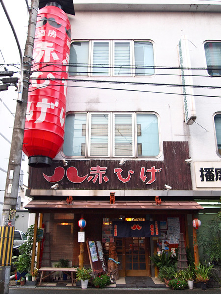 赤ひげ