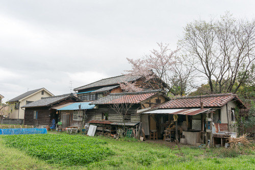 桜花祭2015-63