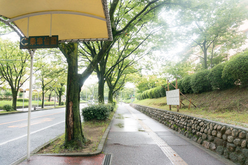 フロッシュ-150817114