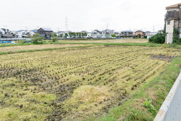 しまむら-1710132