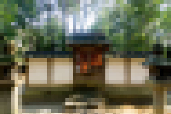 55318df4