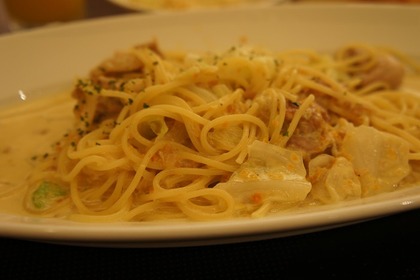 20100827pan6