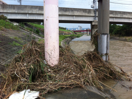 2012-08-14 15:52:55 写真6