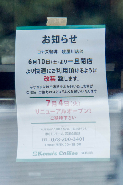 コナズ-1706135