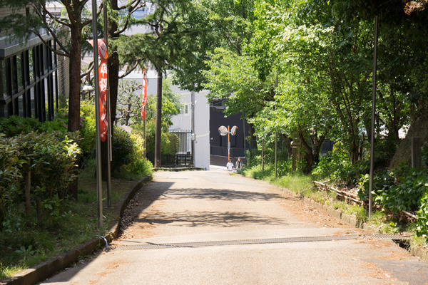 20160501御殿山坂道-83