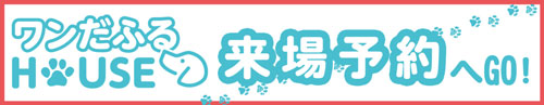 ワンだふる