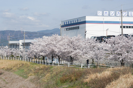 招提田近-3