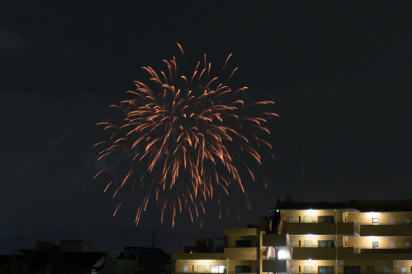 2016冬花火-2