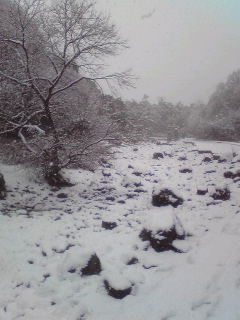 山田池15