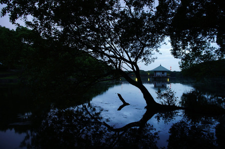 resize20120618193733