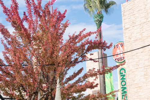 イベント-15110612