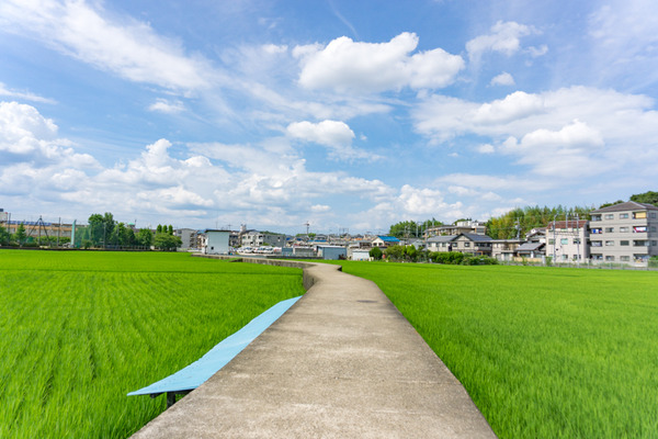 ただの枚方-16