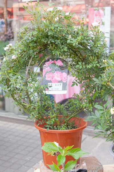 京阪百貨店-263