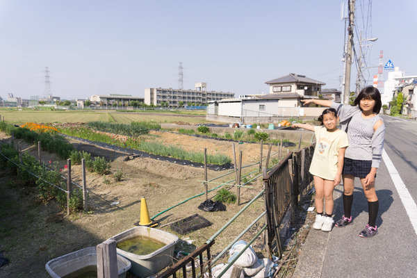 20160430mihamahome-26