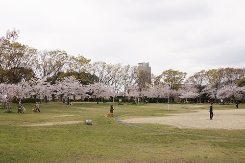 楠葉東公園