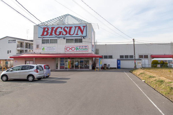 ドリーム-17011834