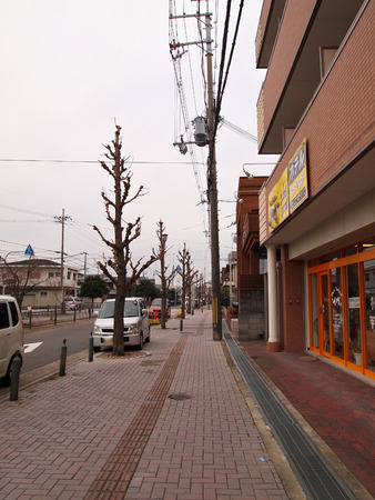 P2134404