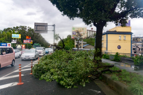 台風21号2-18090415