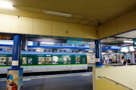 ツバメ20130601_04