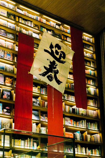 迎春-1901141