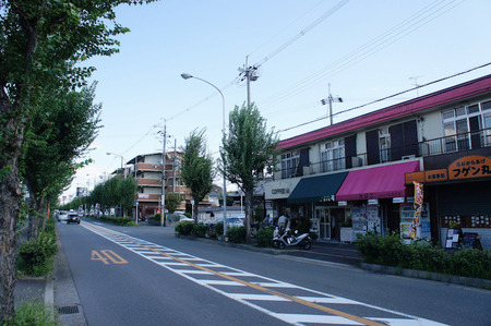 20110923DSC06153
