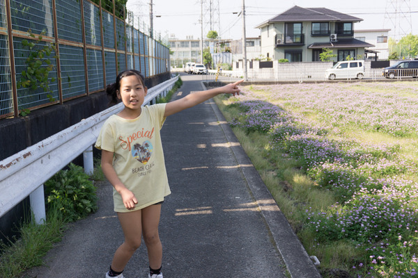 20160430mihamahome-37
