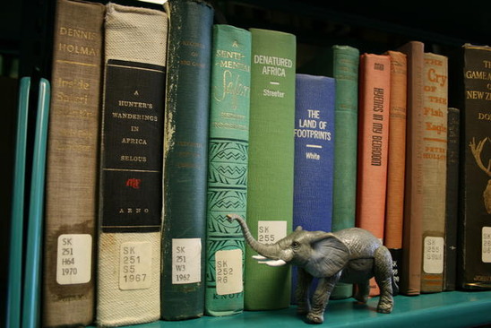 4841326103_b06b983b51_o