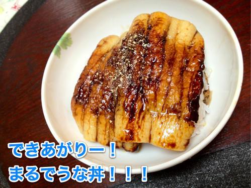 20120711うなどん