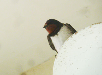 P1060202