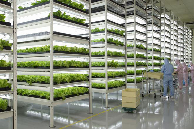 植物工場の農業ベンチャー ブログ版 週刊 ボチボチいこか