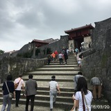 IMG_8654