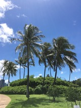 IMG_0908