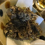 IMG_8881