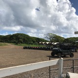 IMG_7054