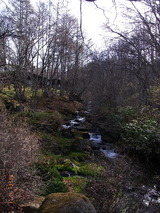 R0010983