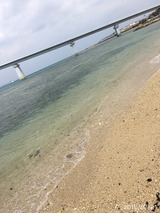 IMG_8780