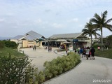 IMG_8750