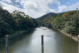 IMG_6394