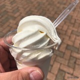 IMG_4755