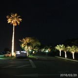 IMG_8737
