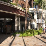 IMG_7233