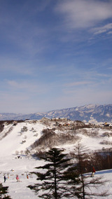 aa