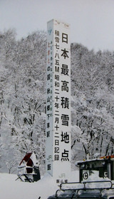 �ǹ�����785cm